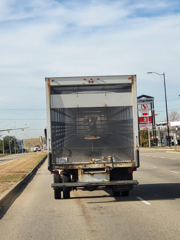 Monkey in a box box truck decal