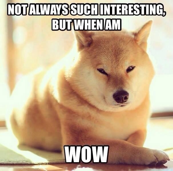 Most interesting doge in the world