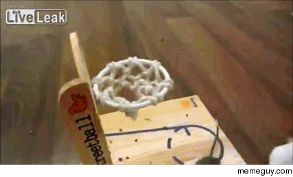 Mouse dunking a basketball