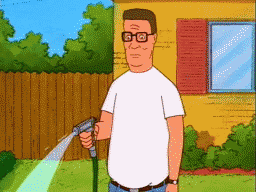 MRW when King of the Hill went off Netflix