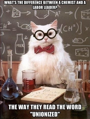 My dad is Chemistry Cat