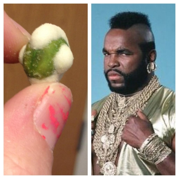 My first thought was wow this pea looks like Mr T my second thought was wow I need a life