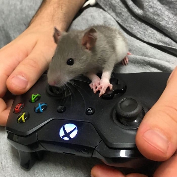 My gaming mouse