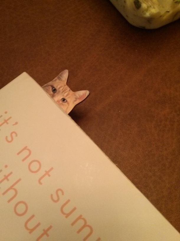 My girlfriend thinks her bookmark is hilarious
