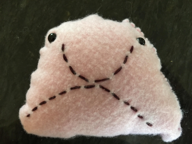 My kid made a blobfish as a school sewing project