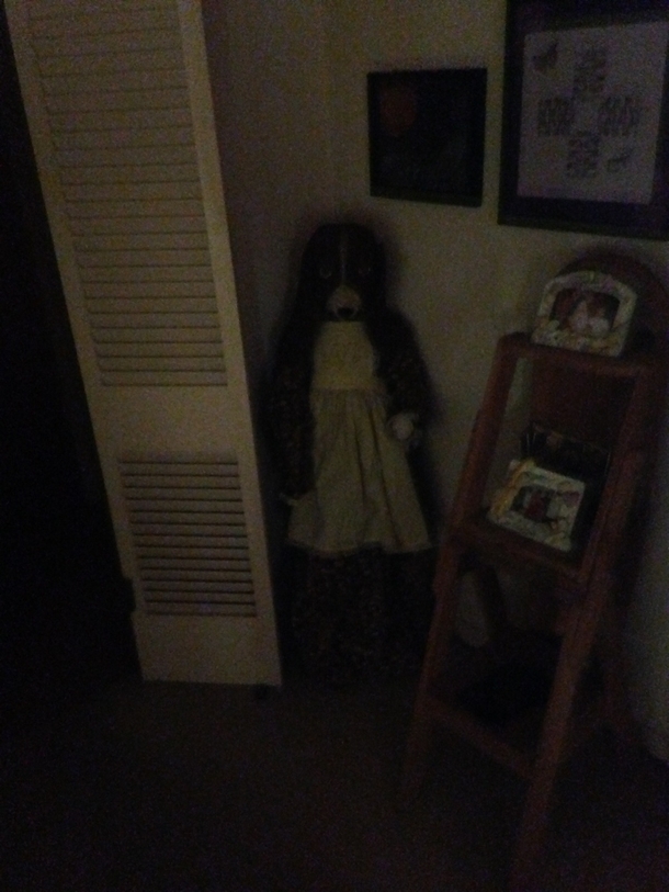 My mom has the creepiest vacuum cover