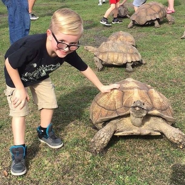 My nephew met a tortoise The tortoise met a human