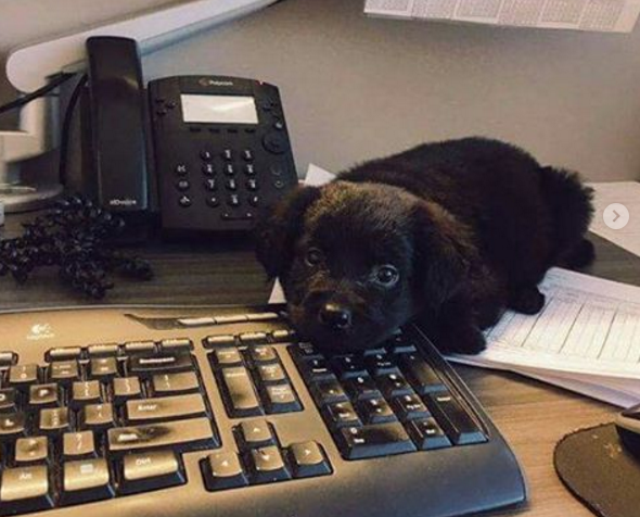 My new co-worker is totally useless