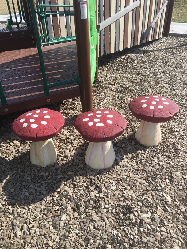 My son fell on these at the park My other son Gerardo Dad William is tripping on mushrooms