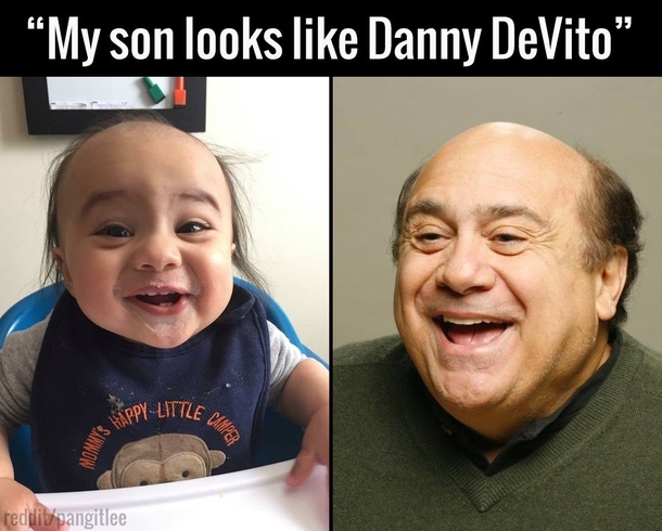 my son looks like danny davito