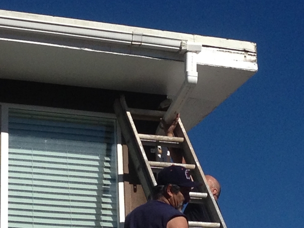 My uncles made a mistake installing a new rain gutter