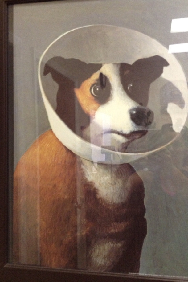 My vet has the best portrait at his office Sorry for the glare