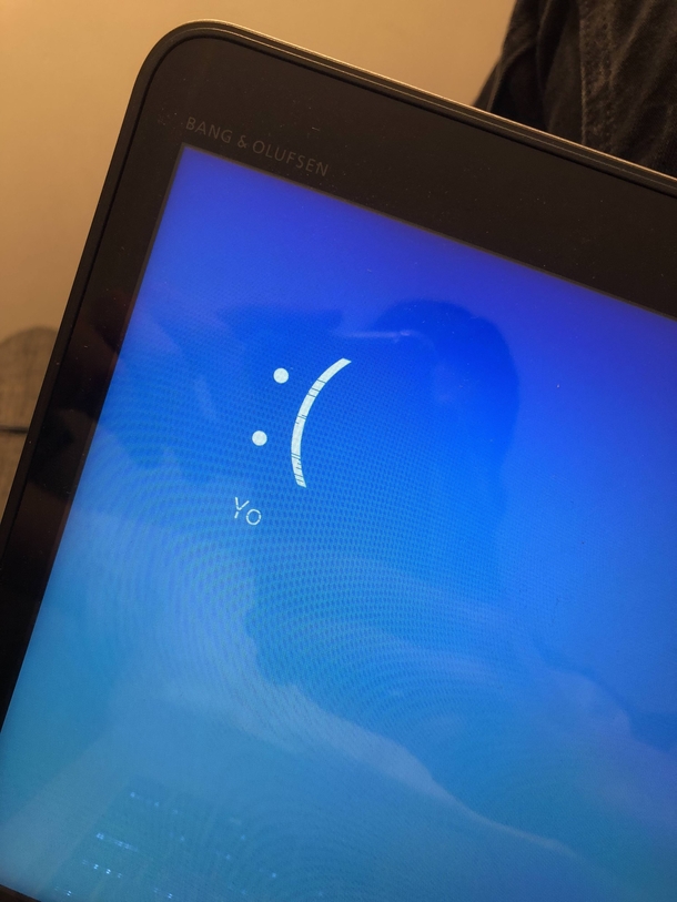 My Windows crashed while rendering a blue screen and left me with the perfect reaction to a blue screen