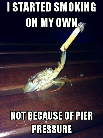Nautical Pun Crustacean wont be a thing but who cares