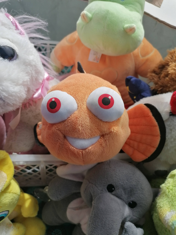 Nemo was actually never found and ended up in a drug den
