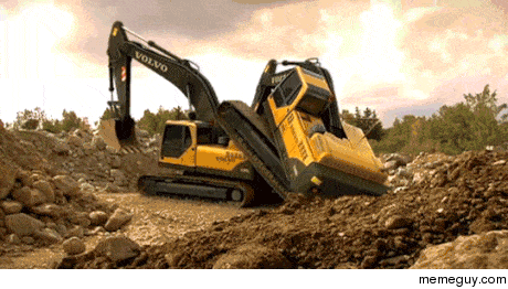 Never captured before on film here we can see the complex mating dance of the wild excavator