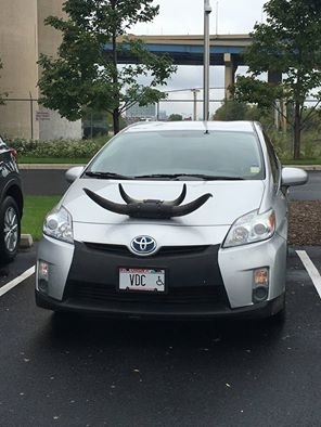 Never expected to see that on a prius