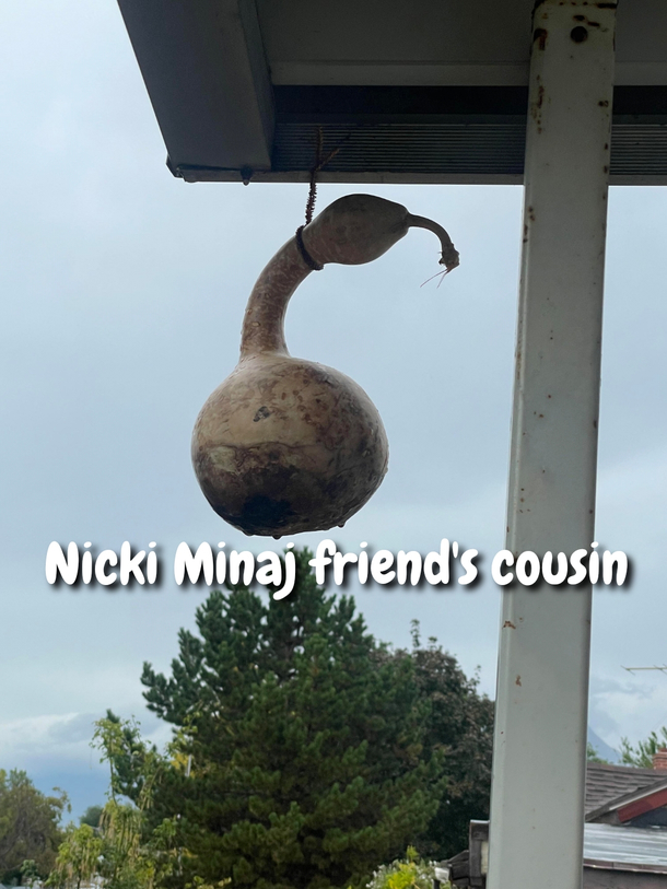 Nicki Minaj friends cousin