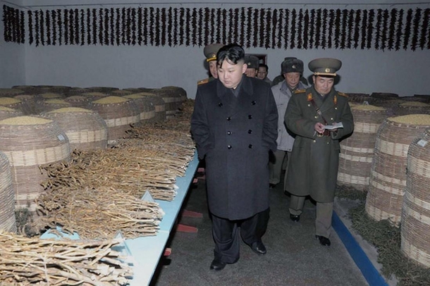 North Korea is in the planning stages of putting together a North Korean Reddit to rival our own Here is Kim-Jong Un inspecting potential OPs
