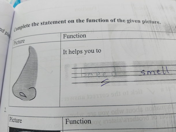 Nose helps youfrom my yr olds exam sheet