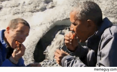 Obama eating a bears leftover salmon carcass with Bear Grylls in Alaska