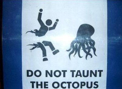 Octopi are not to be trifled with