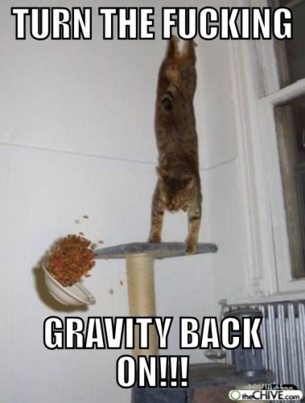 Oh gravity arent thou a heartless bitch 
