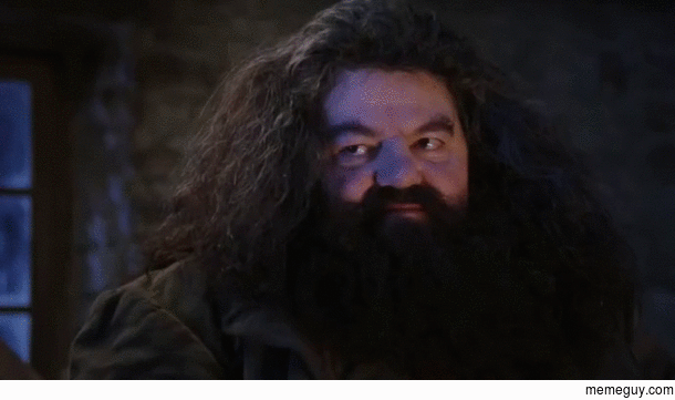 Oh Hagrid