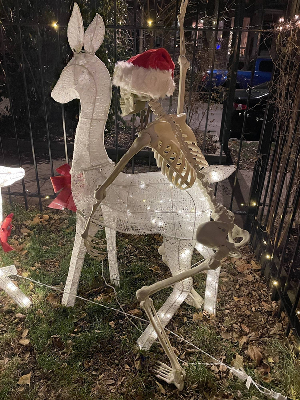 Our neighbors have festive reindeer Unfortunately for them we have a bored Halloween skeleton looking for a bone to pick