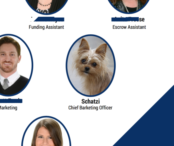 Our office dog is featured on our marketing materials