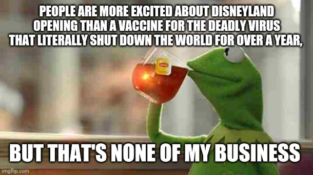 Over half my social media is Disneyland post