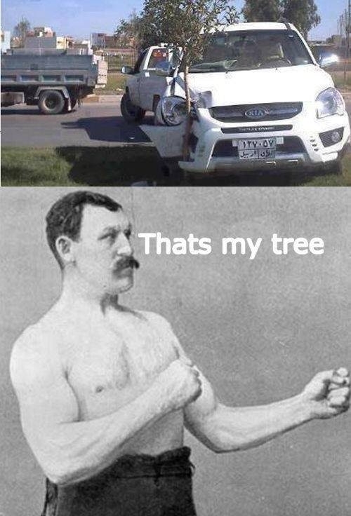 Overly manly tree