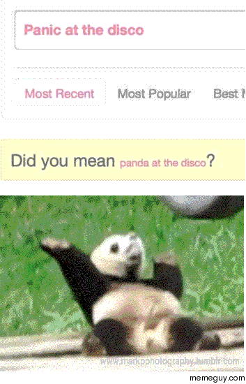 Panda at the disco