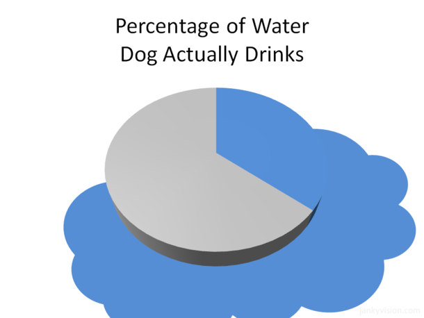 Percentage of water my dog actually drinks