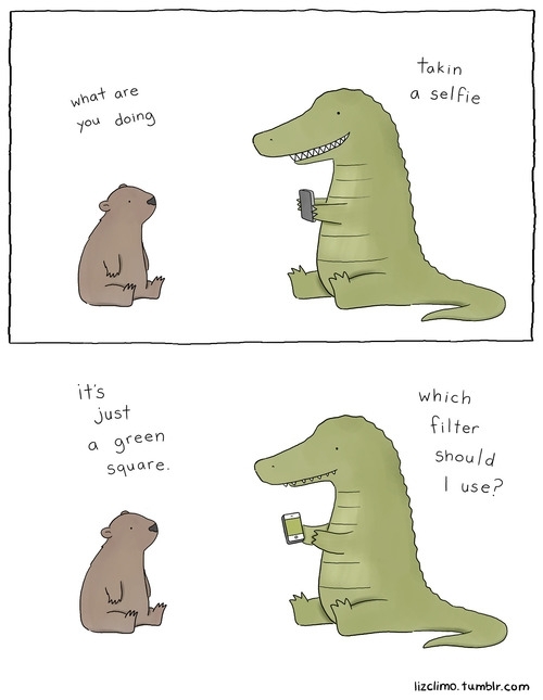 Pic #1 - Animal encounters guaranteed to cheer you up By Liz Climo