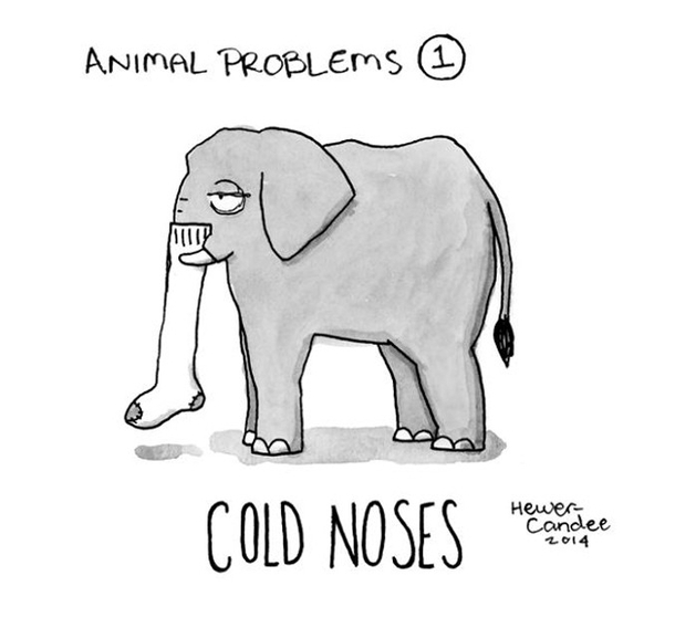Pic #1 - Animals Experiencing Human-Like Problems