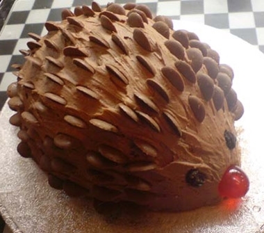Pic #1 - Chocolate Hedgehog Cake
