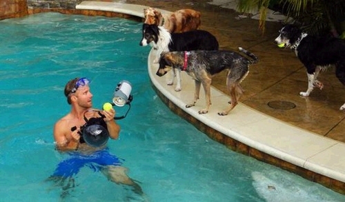 Pic #1 - Dogs  ball  Underwater camera