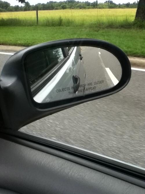 Pic #1 - For the past two days this little dinosaur has been hitching a ride on my side mirror