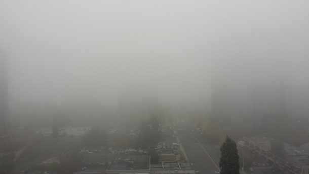Pic #1 - Sent my brother the view out of my office window and he sent me back his current view Little bastard