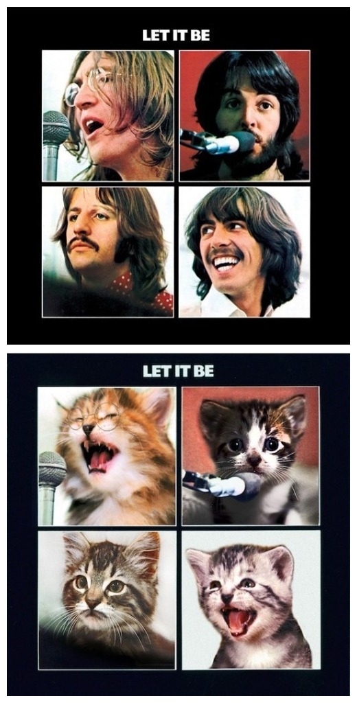 Pic #1 - What can make classic rock albums better Kittens can