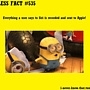 Pic #17 - Useless Facts