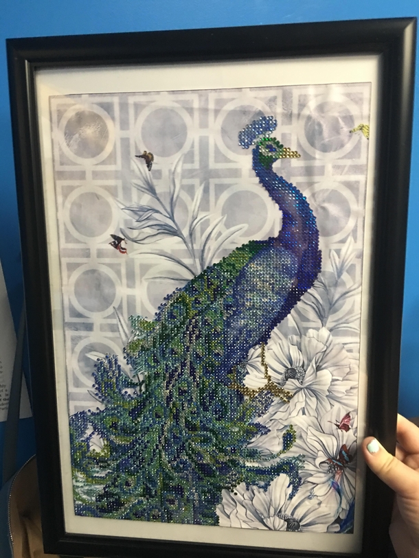 Pic #2 - D Diamond Peacock