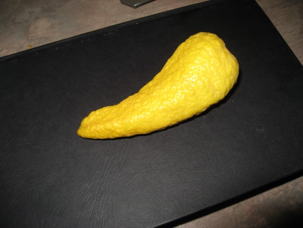 Pic #2 - You call that the worst lemon ever I present you scumbag lemon with clit tickler companion