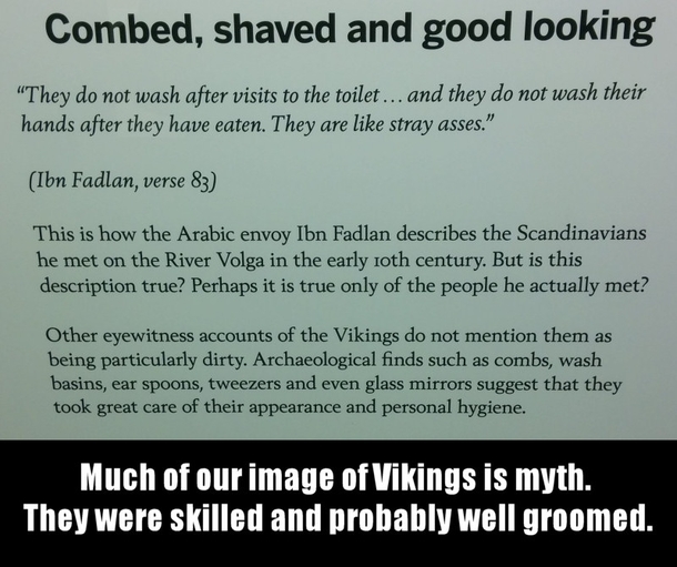 Pic #3 - The Truth About Vikings