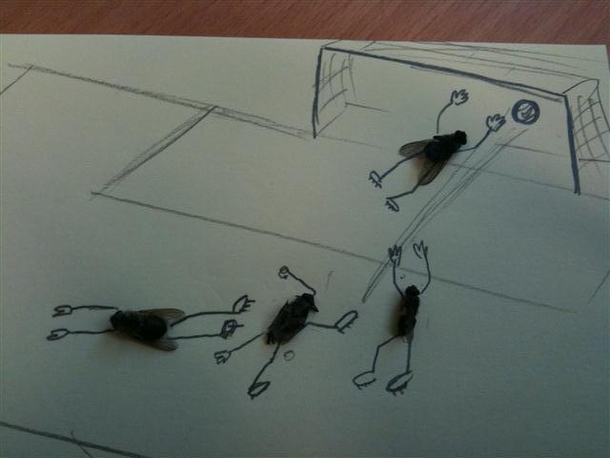 Pic #4 - Sometimes i get bored at work Have some dead flies 