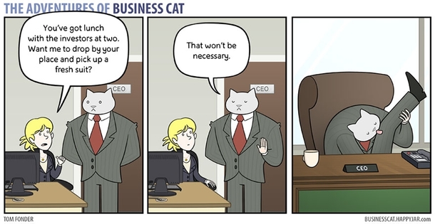 Pic #4 - The adventures of business cat