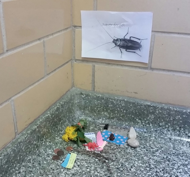 Pic #4 - There has been a dead cockroach in the anthropology buildings stairwell for at least two weeks Some enterprising person has now made her a little shrine
