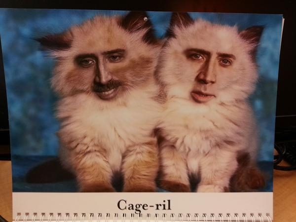Pic #5 - My coworkers werent sure how to react to my custom-made  calendar