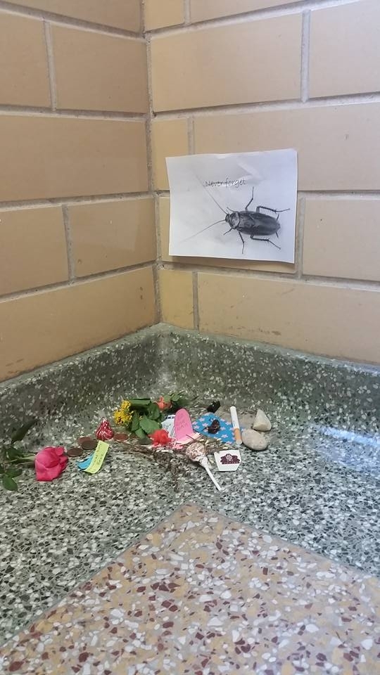 Pic #5 - There has been a dead cockroach in the anthropology buildings stairwell for at least two weeks Some enterprising person has now made her a little shrine